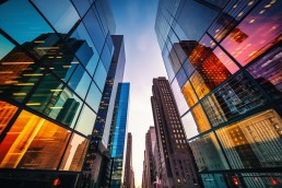 The financial analyst reviewed the company's financial statements in an urban setting.